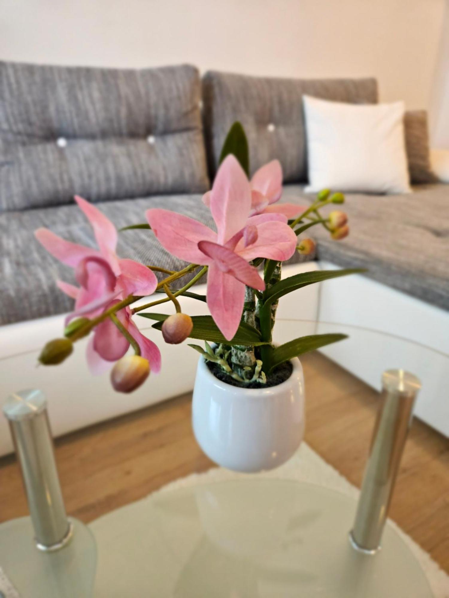 Apartment Zoya 克拉尼斯卡戈拉 外观 照片
