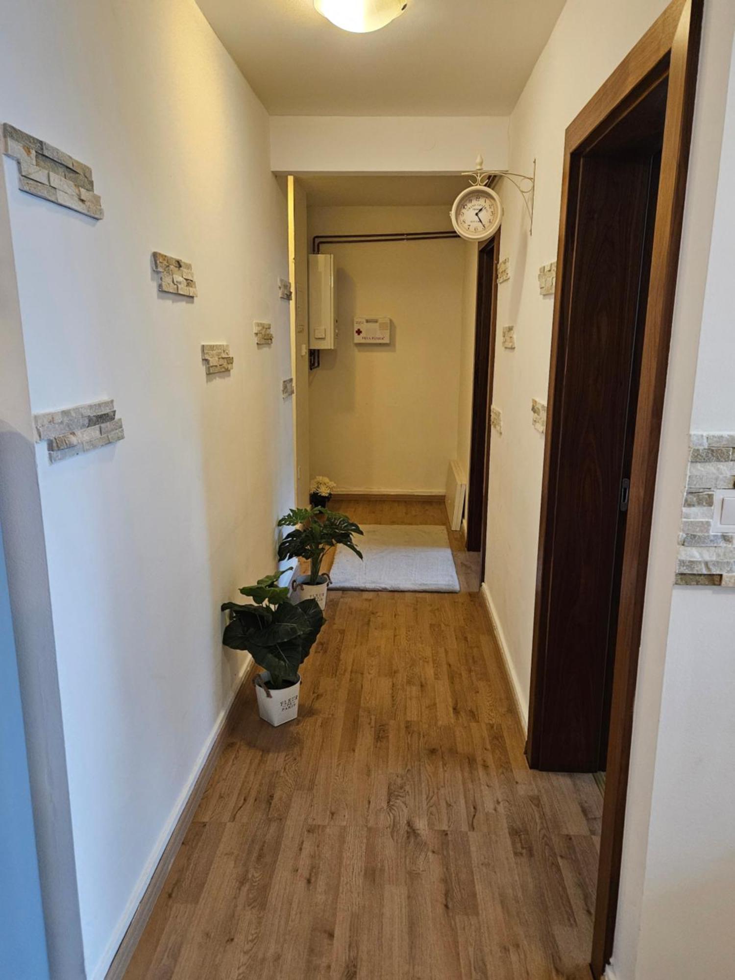 Apartment Zoya 克拉尼斯卡戈拉 外观 照片