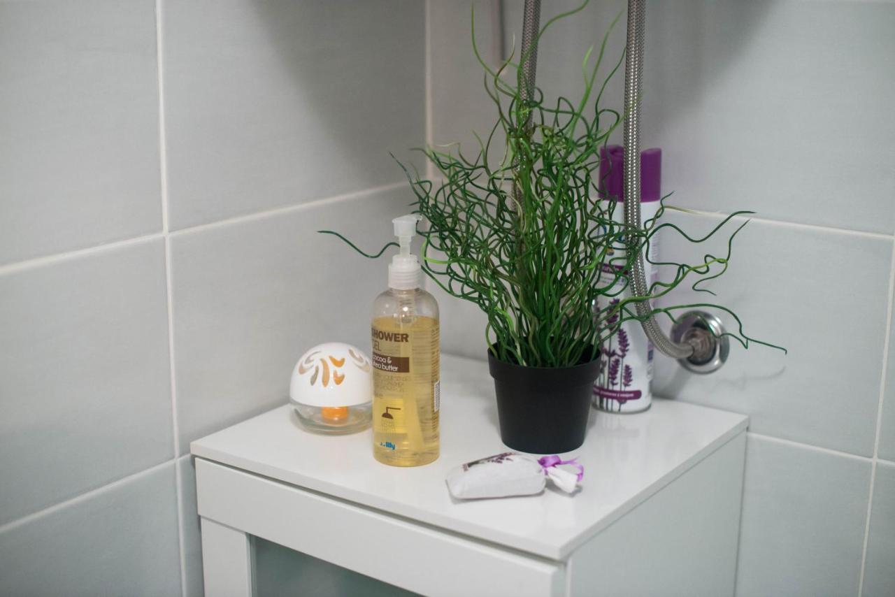 Apartment Zoya 克拉尼斯卡戈拉 外观 照片